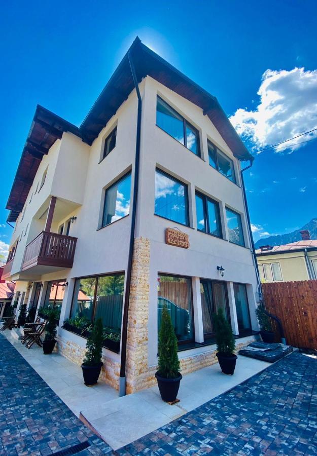 Casa Ankeli Bed & Breakfast Buşteni Eksteriør bilde