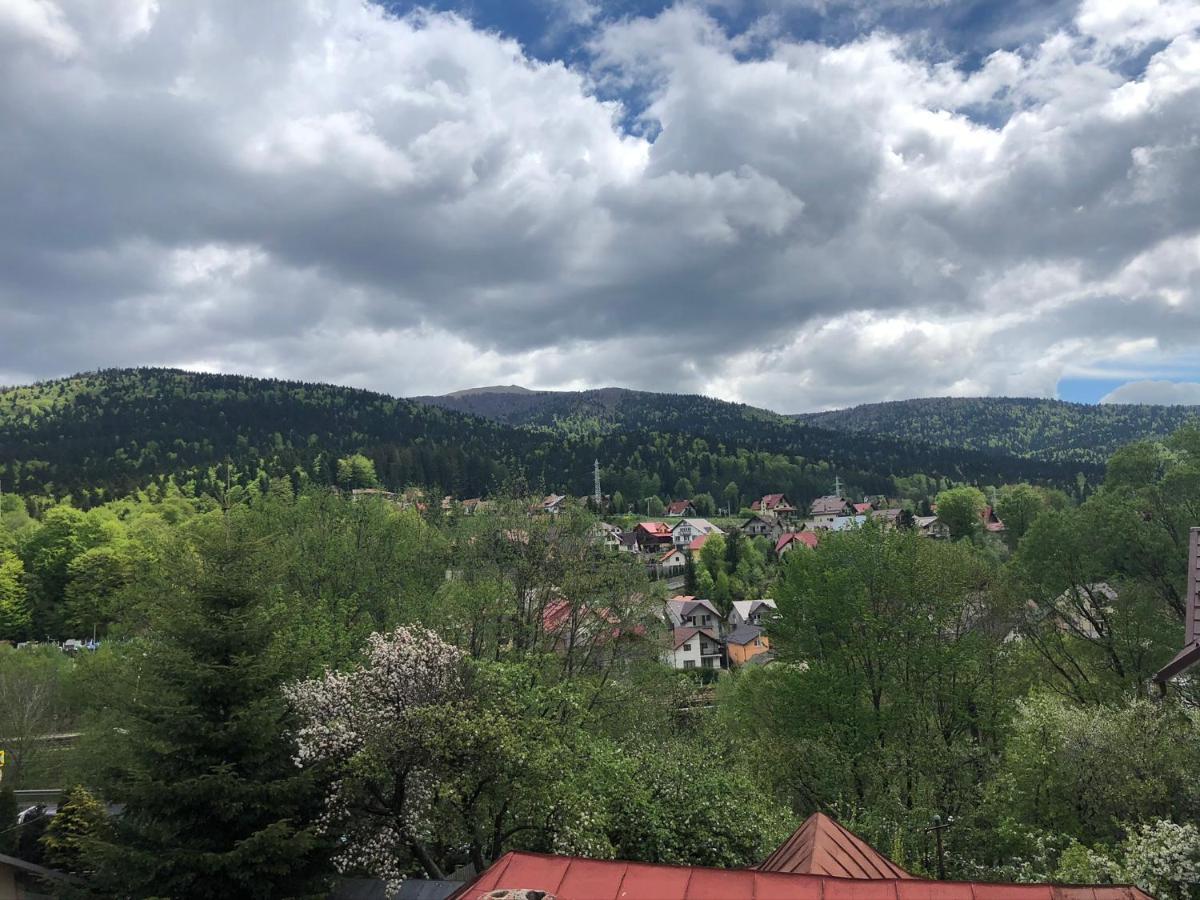 Casa Ankeli Bed & Breakfast Buşteni Eksteriør bilde