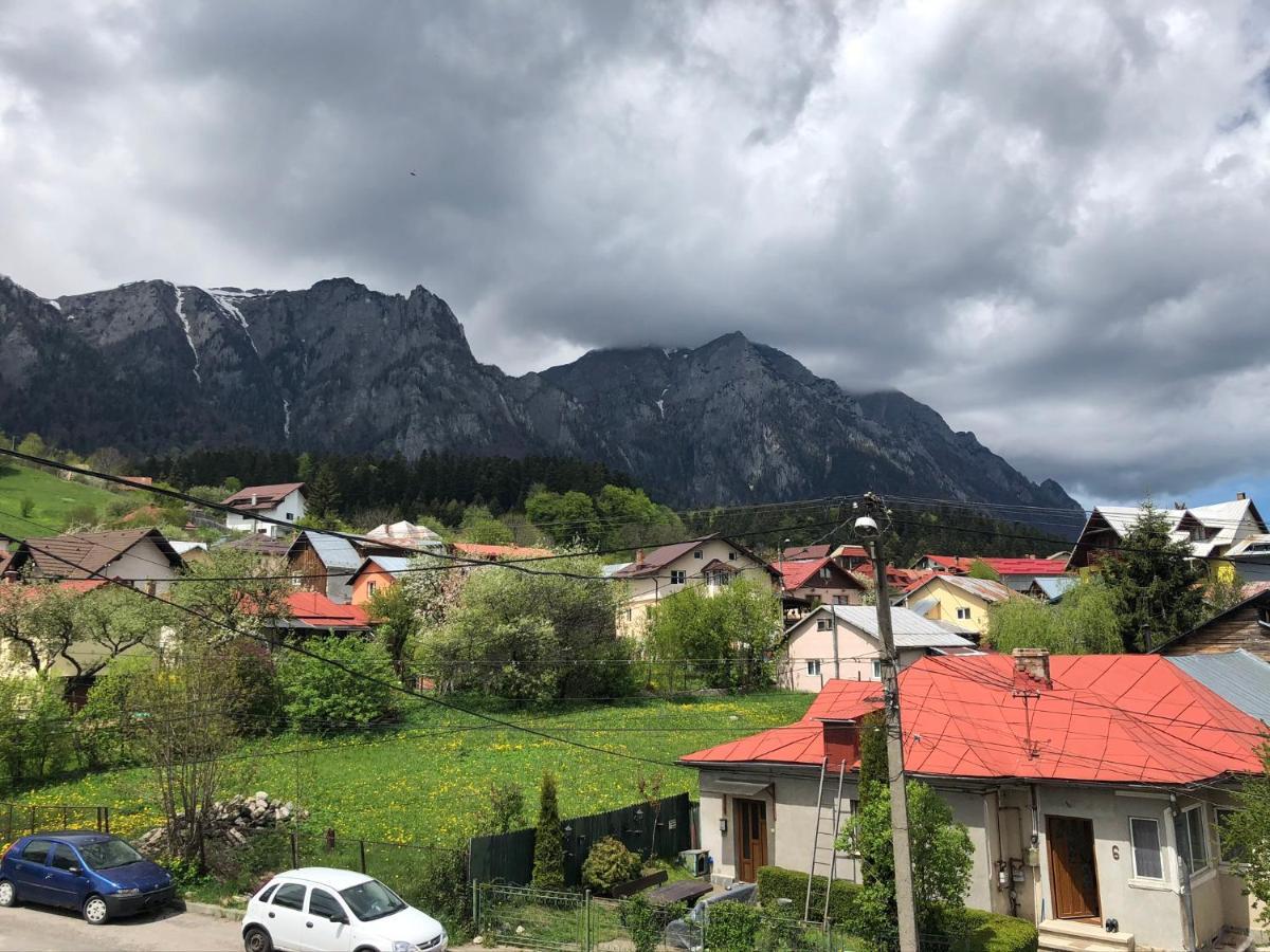 Casa Ankeli Bed & Breakfast Buşteni Eksteriør bilde