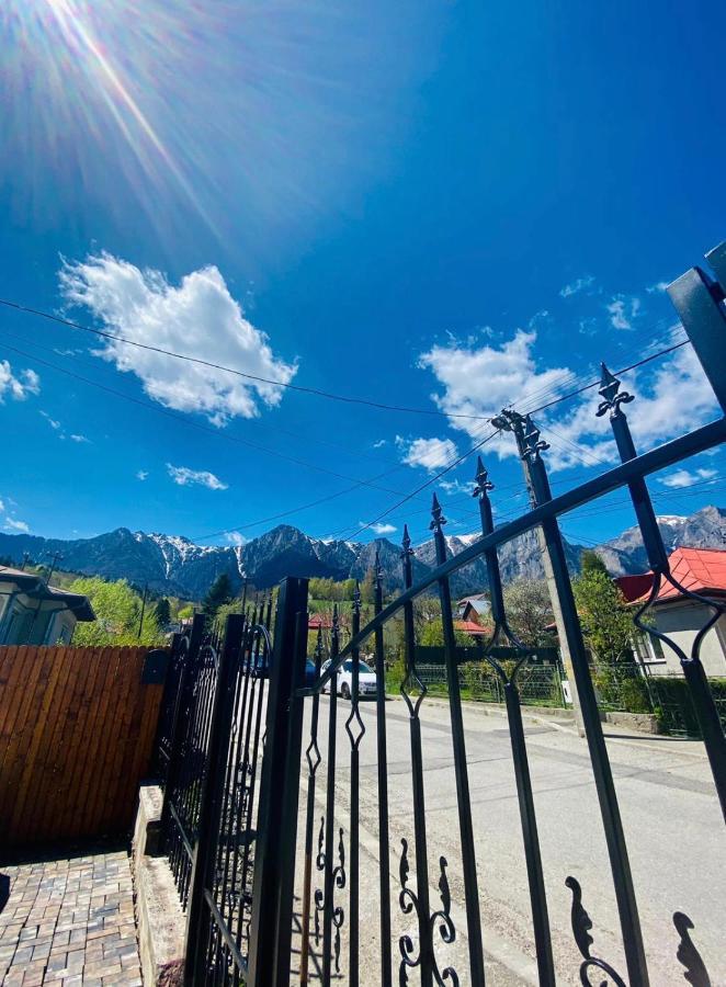 Casa Ankeli Bed & Breakfast Buşteni Eksteriør bilde