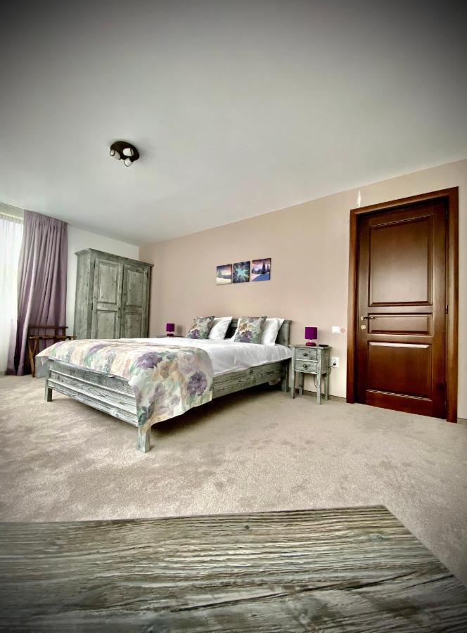 Casa Ankeli Bed & Breakfast Buşteni Eksteriør bilde